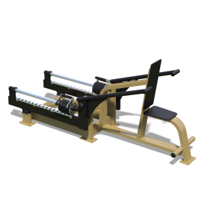 Triceps weight load - udendrs 