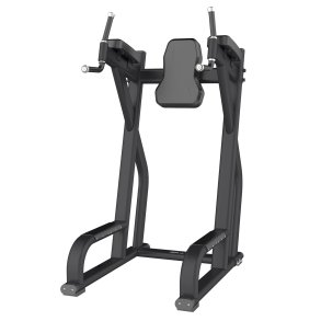 BM Line FF47 vertical leg raise