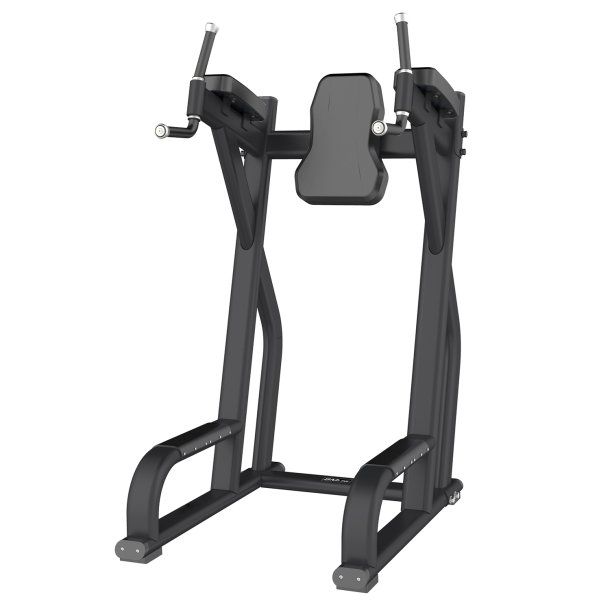 BM Line FF47 vertical leg raise