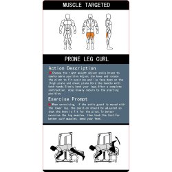 BM Line FH01 prone leg curl