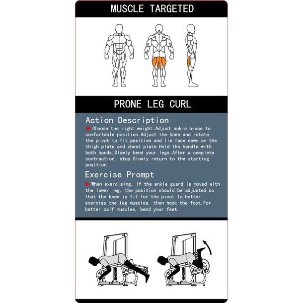 BM Line FH01 prone leg curl