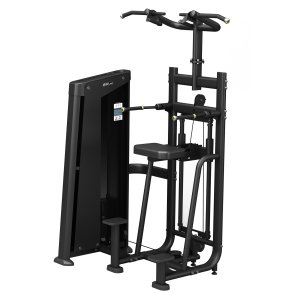 BM Line FH09 assisted dip / chin up