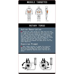 BM Line FH18 rotary torso