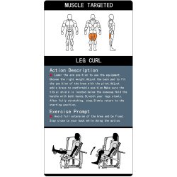 BM Line FH23 seated leg curl