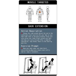 BM Line FH31 back extension