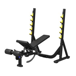 BM Line FF46 multi bench press