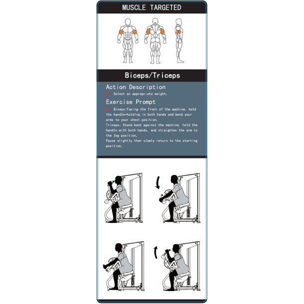 BM Line FH86B biceps / triceps