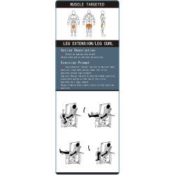 BM Line FH87B leg extension / curl