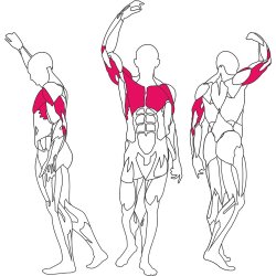 BH L080 chest / shoulder press