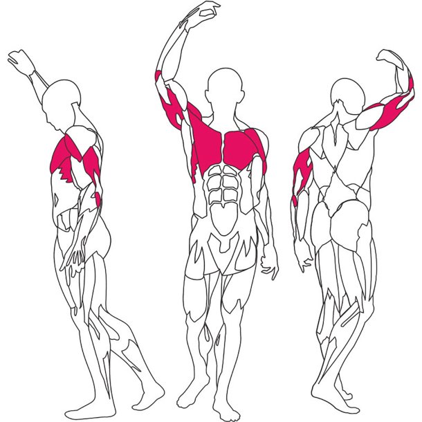 BH L080 chest / shoulder press