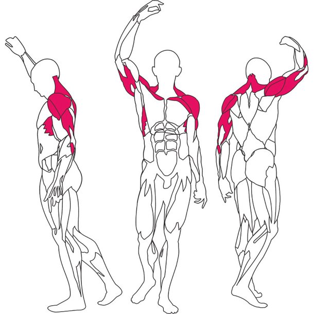 BH L080 chest / shoulder press