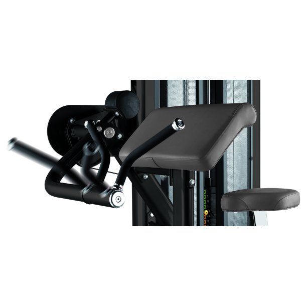 BH L130 biceps