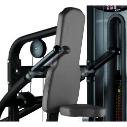 BH L150 triceps / dips