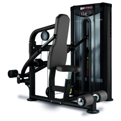 BH L150 triceps / dips