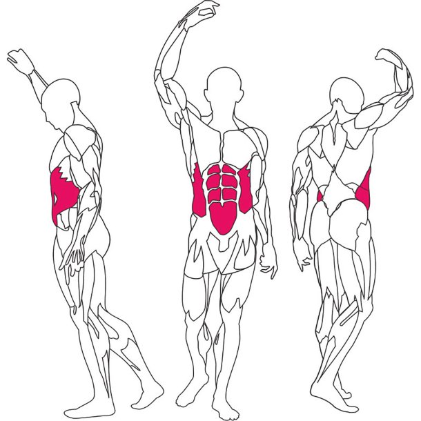 BH L310 abdominal