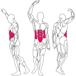BH L610 abdominal / lower back