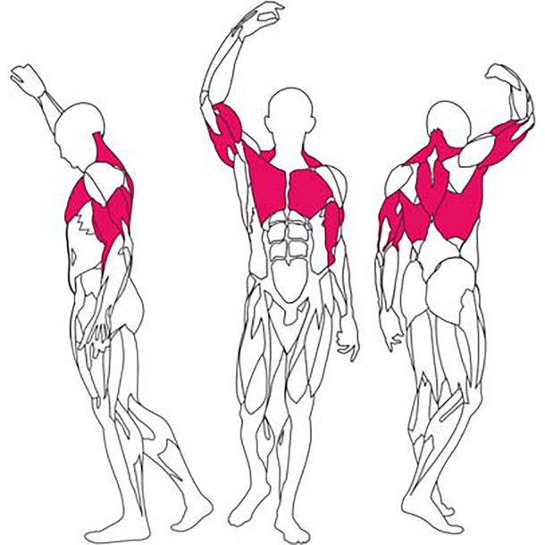 BH L450 assisted chin up / dip