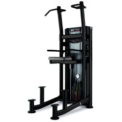 BH L450 assisted chin up / dip