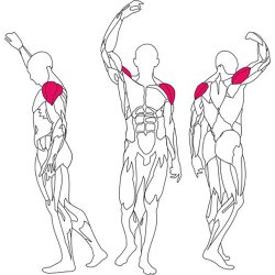 BH L490 deltoid raise