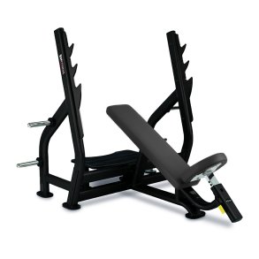 BH L820 incline bench press