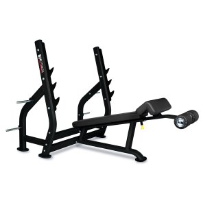 BH L855 decline bench press