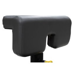 BH L880 sissy squat bench