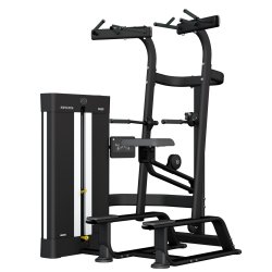 BH Movemia M450 assisted chin / dip