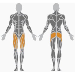 Stepper &amp; leg extension - udendrs 