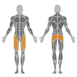 Stepper &amp; adduct/abduct - udendrs 