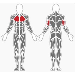 Dobbelt parallel bars - udendrs