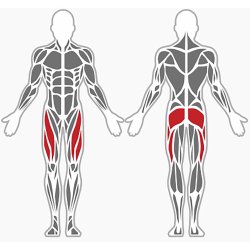 Chest press - lat pulldown &amp; leg press - udendrs 