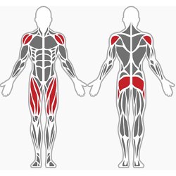 Crosstrainer - udendrs 