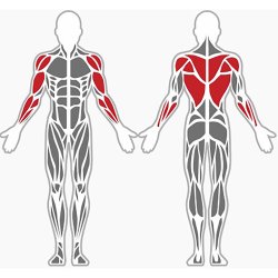 4 x pull up bars - udendrs