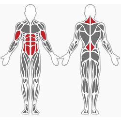 Dobbelt leg raise - udendrs