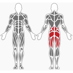 Hyperextension - udendrs