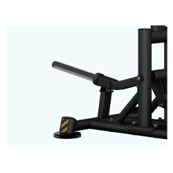 BH PL255 standing abductor