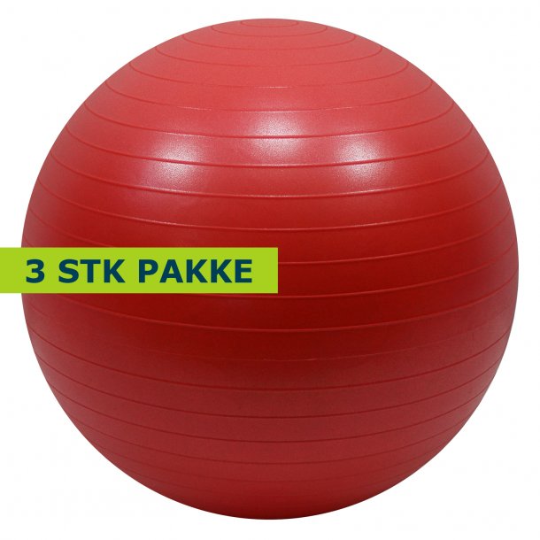 Terapibold / yogabold 55 cm. - 3 stk.