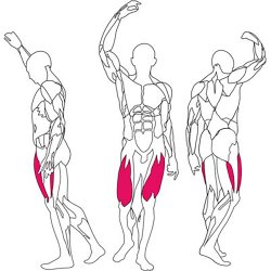 BH L010 leg extension