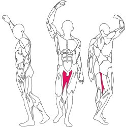 BH L250 hip adduction / abduction