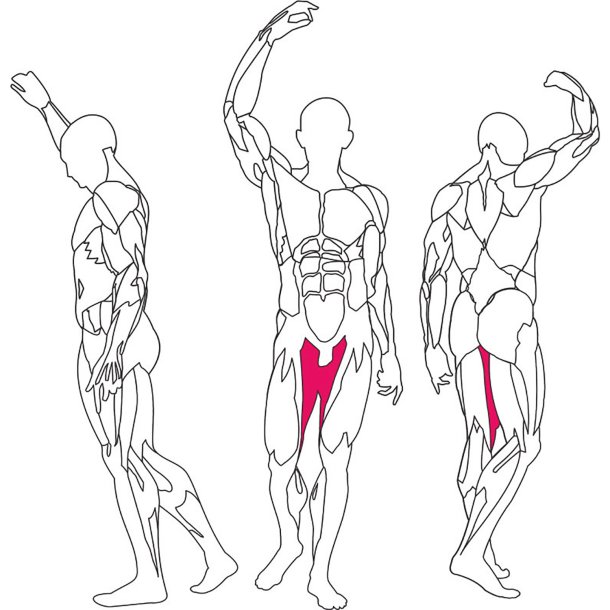 BH L250 hip adduction / abduction