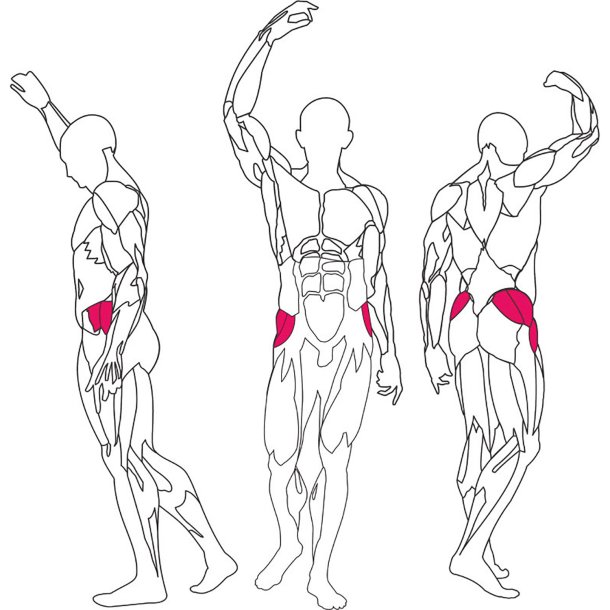 BH L250 hip adduction / abduction