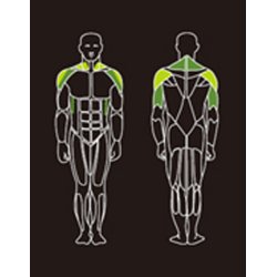 Proteus PROS-101 shoulder press