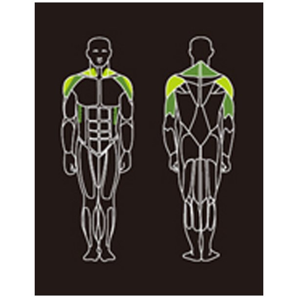 Proteus PROS-101 shoulder press