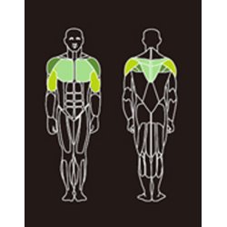 Proteus PROS-102 pectoral / rear deltoid