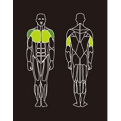 Proteus PROS-106 tricep