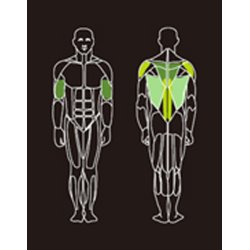 Proteus PROS-107 low row