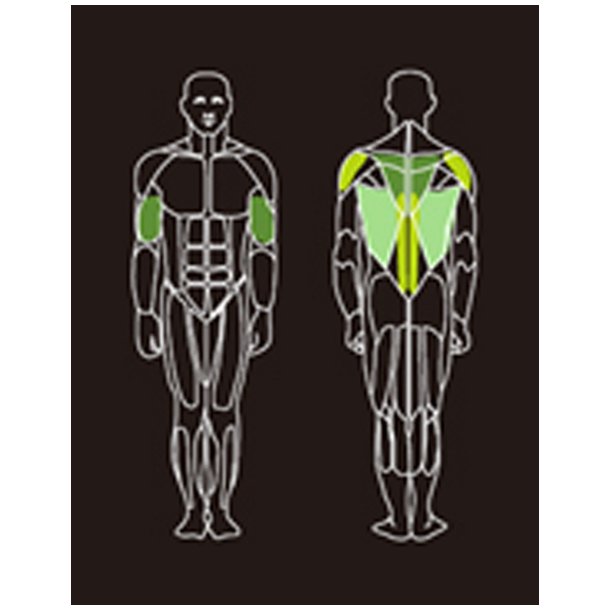 Proteus PROS-107 low row