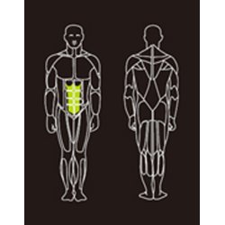 Proteus PROS-200 abdominal