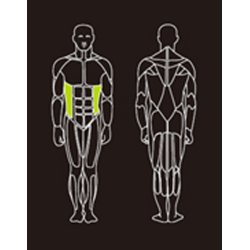 Proteus PROS-201 rotary torso