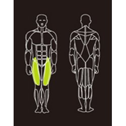 Proteus PROS-300 leg extension - brugt